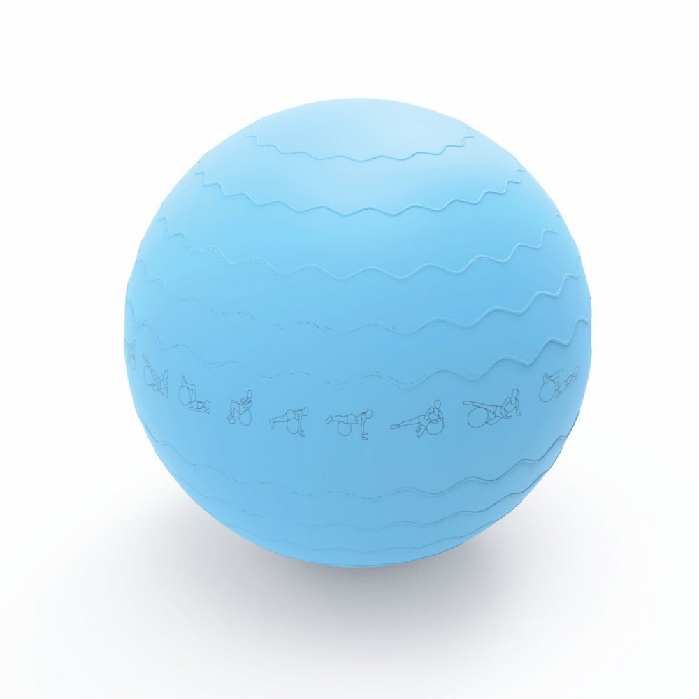 Pure Gym Ball